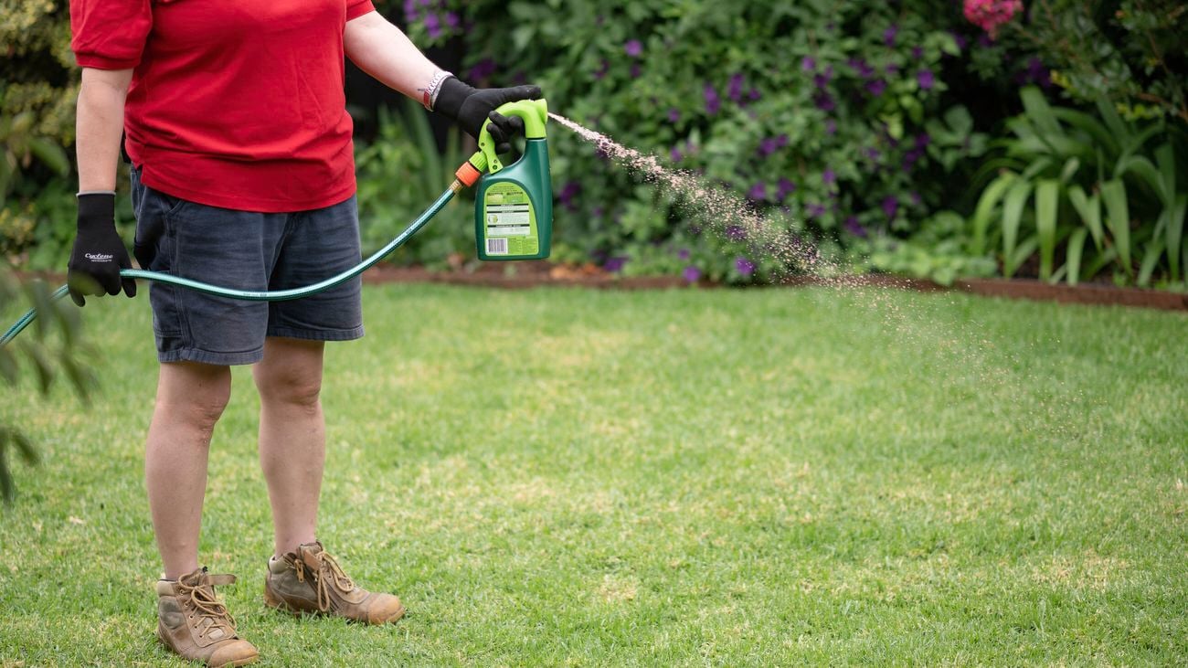 Scotts extreme green liquid lawn fertiliser.