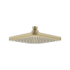 Caroma Luna Overhead Shower Head Brushed Brass