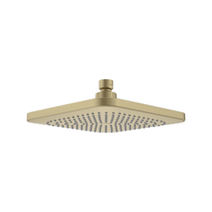 Caroma Luna Overhead Shower Head Brushed Brass
