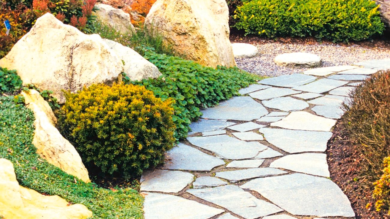 Curved garden path of pavers lined with plants