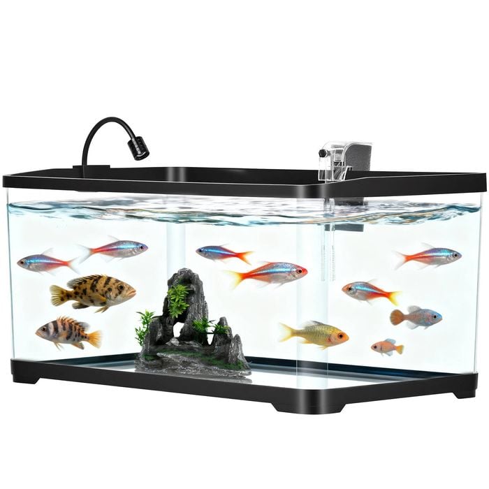 Advwin Aquarium Fish Tank 50l All In One