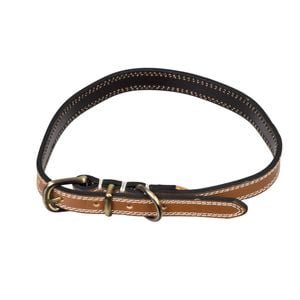Happy Tails Large Faux Leather Dog Collar