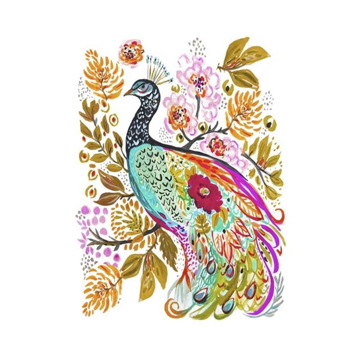 Artey | Sweet Peacock - Stretched Canvas - Stretched Canvas - 60 x 80cm