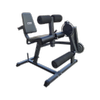 RTM Leg Extension Curl Machine
