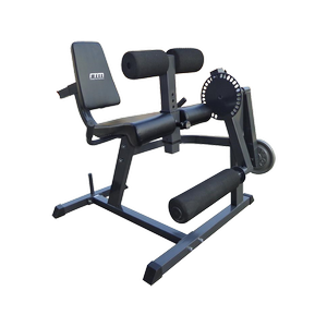 RTM Leg Extension Curl Machine