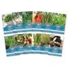 Mr Fothergill's Assorted Spring Seed Packets