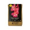 Yarra Valley Bulbs Gladioli Indian Summer 4 Pack