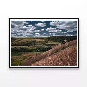 Cloudy Sky and Forest Scenery  Print 100% Australian Made 90x60cm  (Poster)