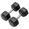 METEOR 22.5kg Pair Rubber Hex Dumbbells