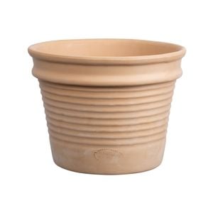 Northcote Pottery 23cm Terracotta Minturno Planter