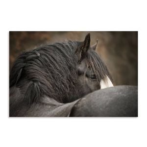 Artey | Looking Back - Stretched Canvas - Stretched Canvas - 40 x 60cm