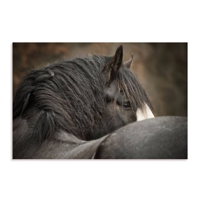 Artey | Looking Back - Stretched Canvas - Stretched Canvas - 40 x 60cm