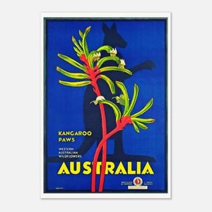 Galrie Vintage Western Australian Kangaroo Paws Travel Poster for Home Decor, Poster Only, 70 x 100cm (28 x 40inch)