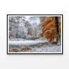 Winter with Autumn Leaves  Print 100% Australian Made 120x90cm  (Poster)