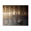 Artey | Sunset Surfers - Stretched Canvas - Stretched Canvas - 40 x 50cm