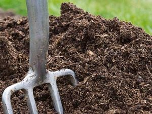 pitch fork in garden soil