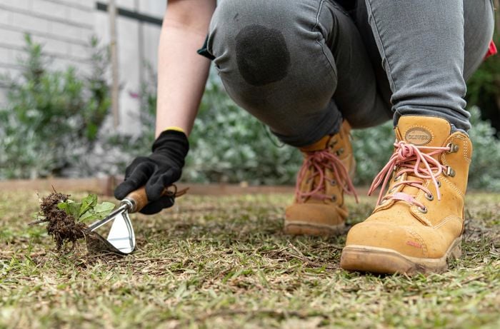 A person kneeling on grass with a weeding tool