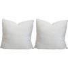 2PK LVD Cushion Teddy Natural Decorative Home/Lounge Decor 45x45cm
