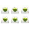 6PK Appetito Square Nylon Net Food Cover 41cm Home Kitchen Cooking White