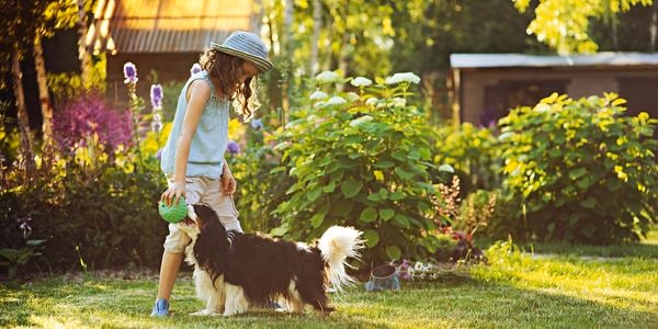 a kid with a dog playing in the lawn