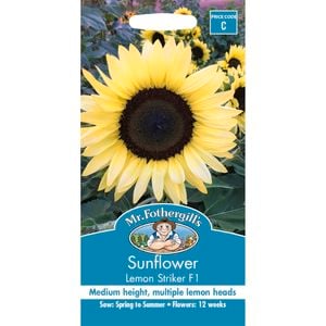 Mr Fothergill's Sunflower Lemon Striker F1 Flower Seed