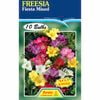 Freesia Single Mixed - 10 Bulbs