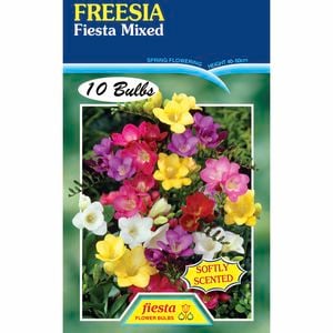 Freesia Single Mixed - 10 Bulbs