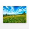 Flowering Meadow with Cloud   Print 100% Australian Made 75 x 50cm  (Stretched)
