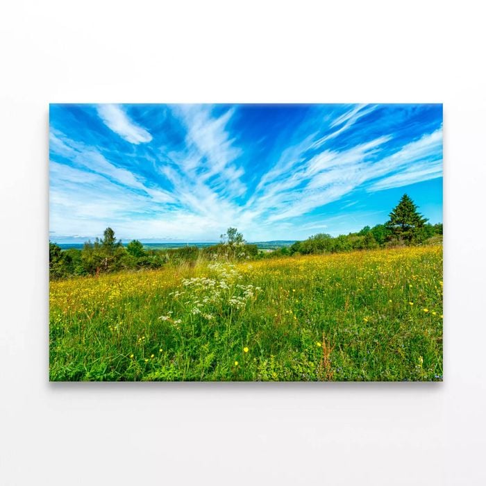 Flowering Meadow with Cloud   Print 100% Australian Made 75 x 50cm  (Stretched)