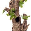 Aqua One Umbrella Pine Stump Medium Ornament 15.5x15x28.5cm (37476m)