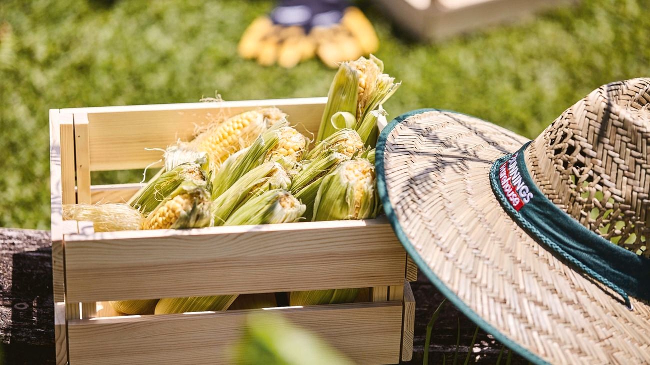 Corn in a box next to a bunnings hatÂ
