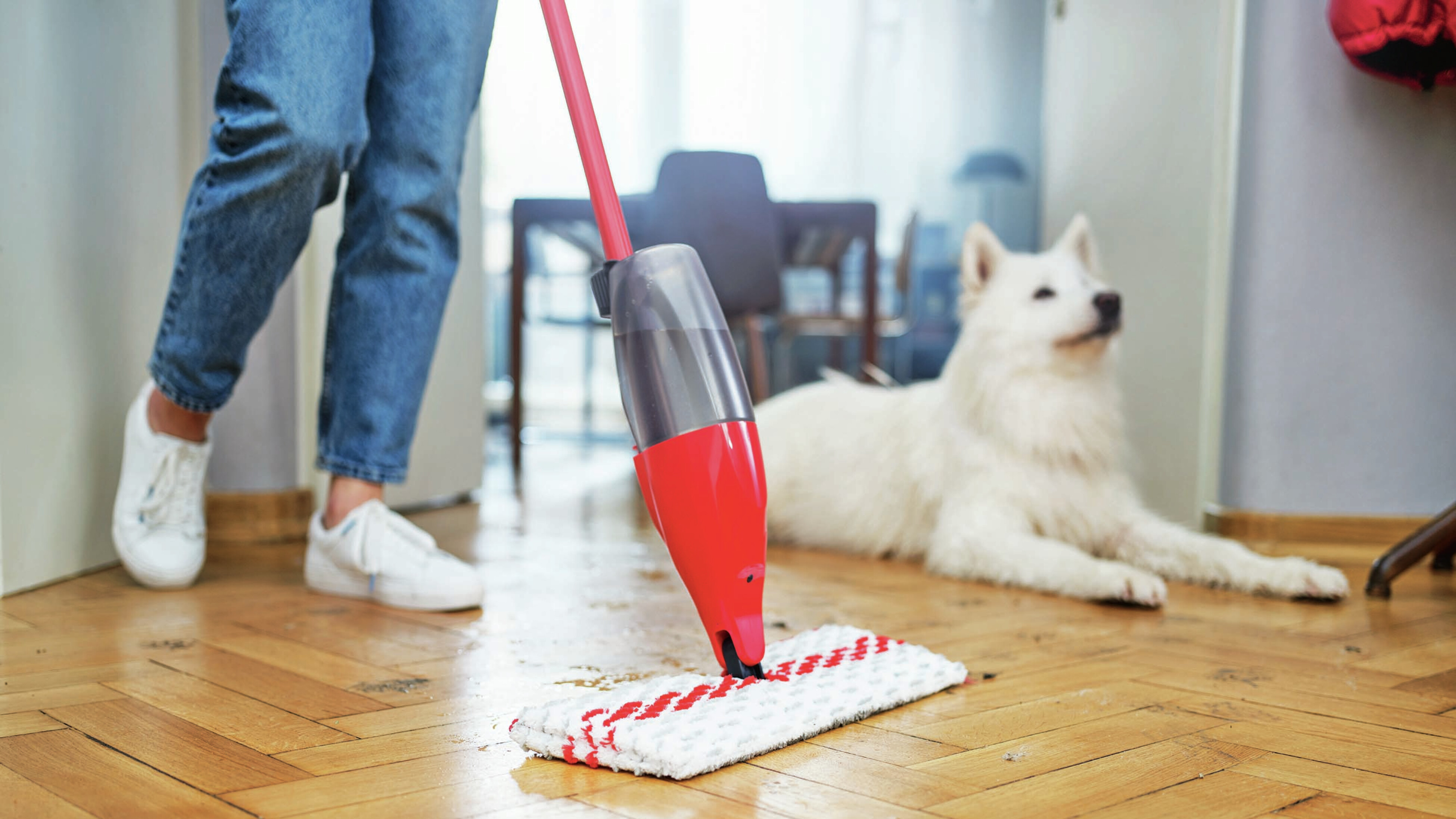 Spray mop bunnings discount