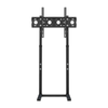 P&P Black Adjustable Free Standing TV Stand with Cable Management for 32-65 Inch Screens