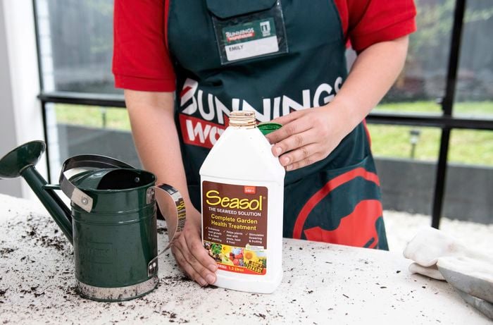 A Bunnings team member with a bottle of Seasol