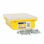 NZ Nails 30 x 2.5mm 2kg Galvanised Clout Head Nails