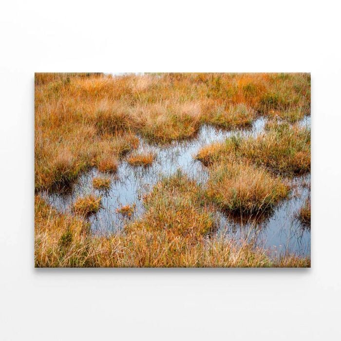 Waterlogged Grassland in summer  Print 100% Australian Made 90 x 60cm  (Stretched)