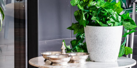 Pot plant with plastic plant.