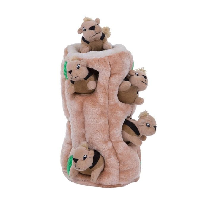 Outward Hound - Hide-A-Squirrel - Medium 1 Pack