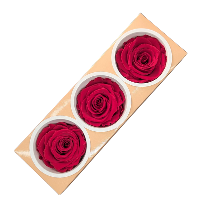 Blooms of Joy 6cm Red Preserved Rose 3 Pack - Bunnings Australia