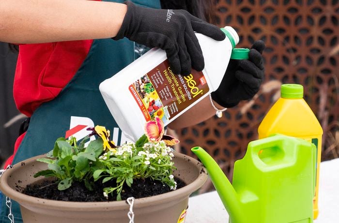 Bunnings Team Member pouring a measured amount of Seasol Seaweed solution into the container's cap