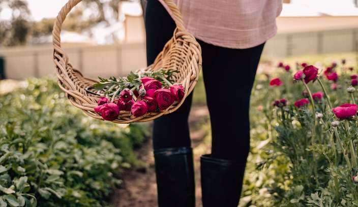 A person with a basket of red flowers outside amongst flowers growing in the ground.