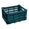 Live It Medium Green Sea Collapsible Crate