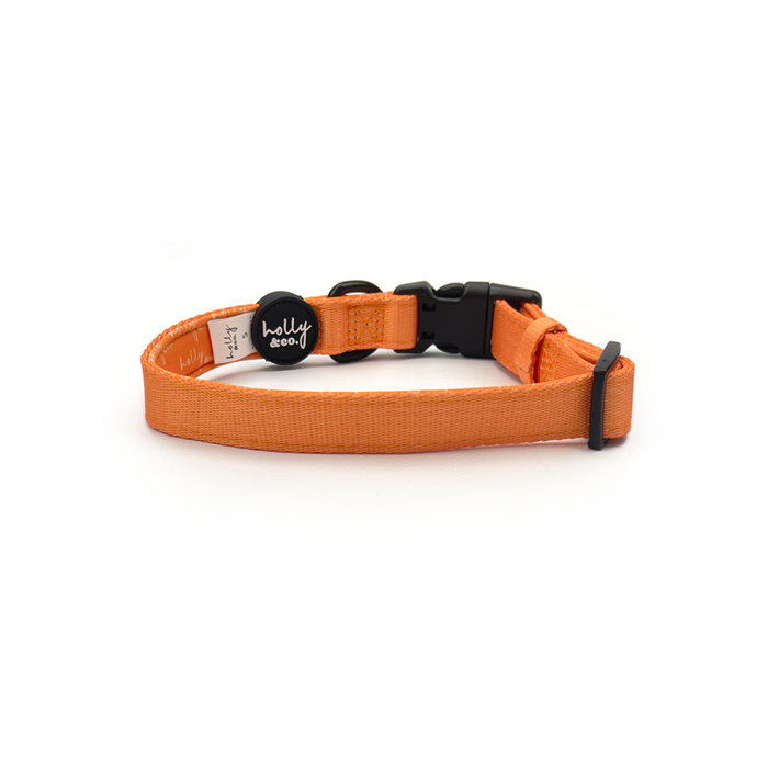 Holly & Co Blorange Large Orange Stylish Dog Collar