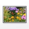 Butterfly Perched On a Flower  Print 100% Australian Made 120x90cm  (Poster)