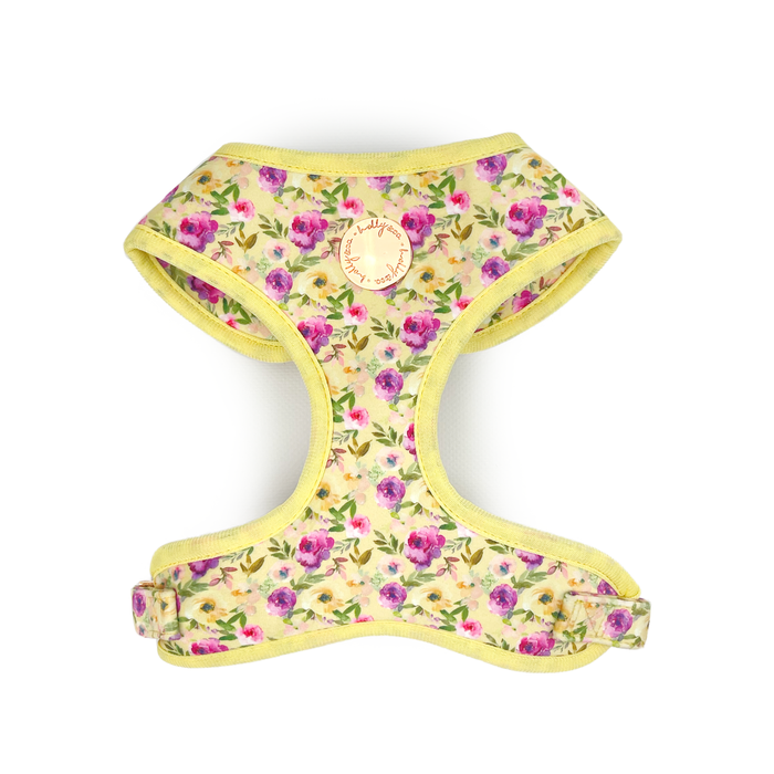 Holly & Co  Nonna's Garden Large Yellow Stylish Velvet Dog Harness