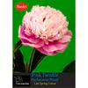 Yarra Valley Bulbs Peony Pink Twinkle 1 Pack