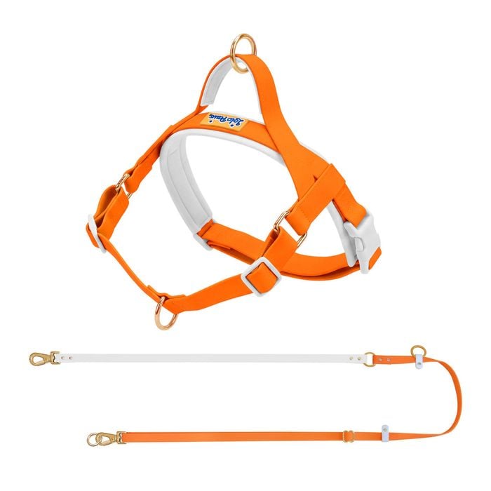 Lolopaws Waterproof PVC Dog Harness & Leash Set Orange M
