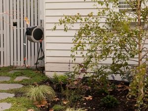 retractable hose - in a front garden setting