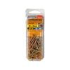 Zenith 8G x 25mm Gold Passivated Square Drive Chipboard Screw - 30 Pack