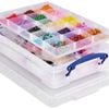 Really Useful Box - 4 Litre Clear Box with 2 Hobby Trays